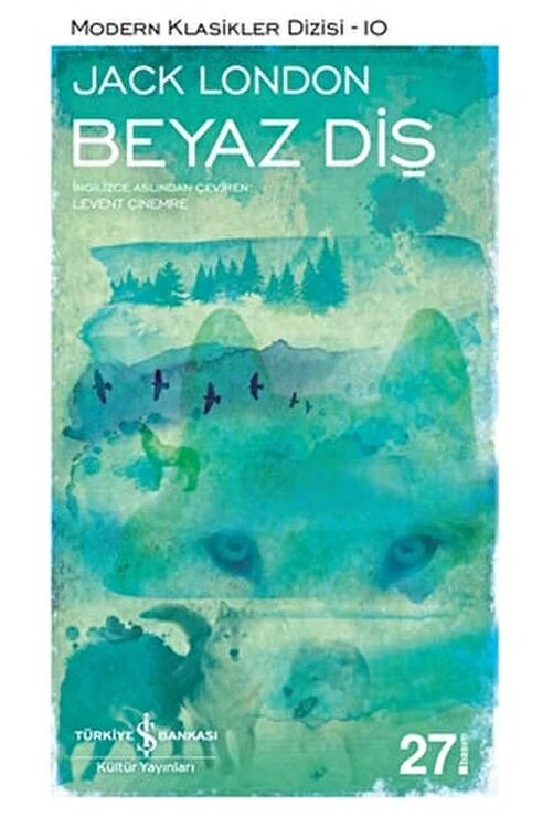 9786053600138|q(kağıt